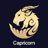 Capricorn 8232tu